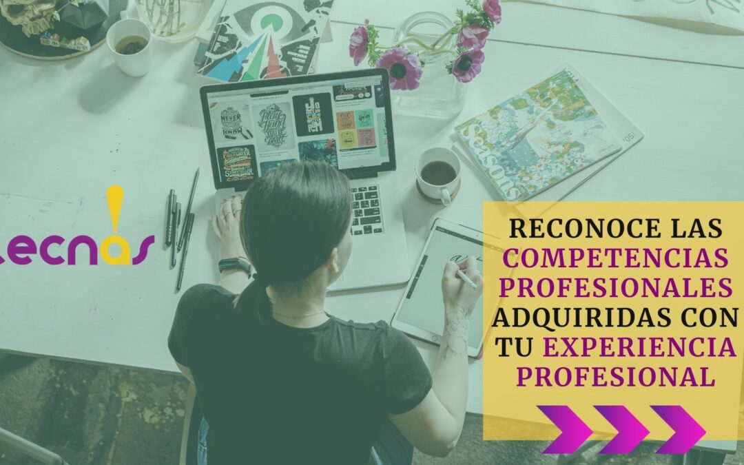 competencias profesionales adquiridas con tu experiencia profesional