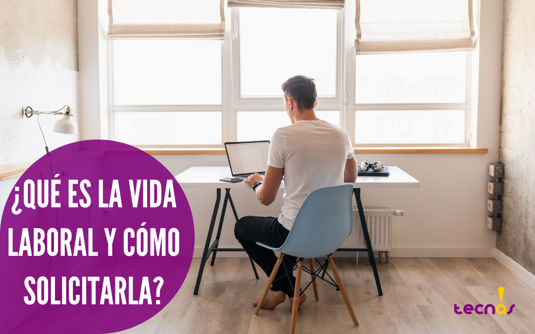 ¿Qué es la vida laboral?